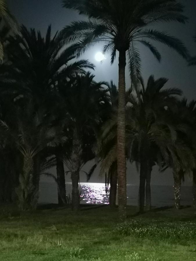 Lido Beachfront Τορρεμολίνος Εξωτερικό φωτογραφία